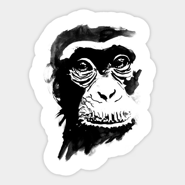 monkey